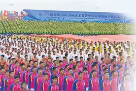 时隔6年郑州国际少林武术节回归 做强“功夫”产业 河南要咋下功夫图片