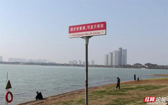 【赴春之约】暂别喧嚣，在松雅湖的春光里，晒一场关于新年的暖阳