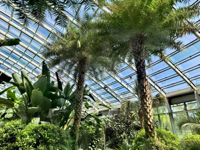 济南植物园“花境展 + ”五大特色活动，晋升国庆假期热门“打卡地”