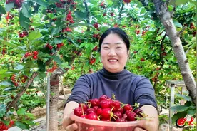 科技赋能“小红果” 潍坊临朐樱桃绘就乡村振兴新画卷图片