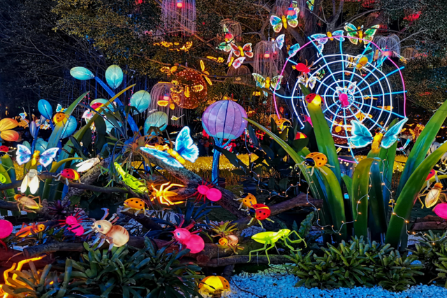 跨年整活！19.9畅玩5小时！大型迎春灯会+跨年表演+冷焰火+打铁花+火壶+灯光秀+国风演艺...