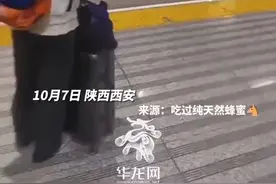 返校坐到“彩蛋”双层车！它还有更多你不知道的惊喜图片