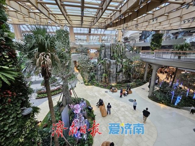 一年四季 泉在济南丨游鹊华中新园 市民打卡热度不减
