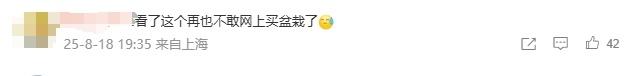 云南一对夫妻旅游回来差点吓傻，客厅爬满了蛇！源头竟是家中的……很多人都爱买