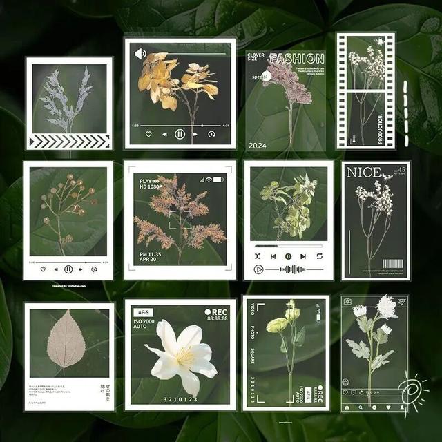 秋冬限定美景上线！快来长宁这个小镇打卡吧→