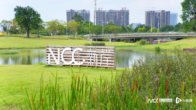 家门口的新佛山丨沿着彩虹河堤，“穿越”岭南文化精致小城