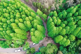 30余家媒体记者走进山东省潍坊市，感知这座城市的温度与活力图片