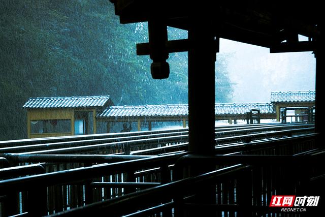 大学生带你游慈利｜湖南工业大学彭媛：张家界东线隐藏的吸氧路线