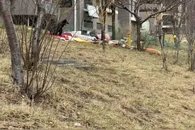 芝罘岛街道：保护环境，共筑美好图片