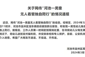 广西河池通报“男童独自在路上爬行”：已送福利院，警方介入图片