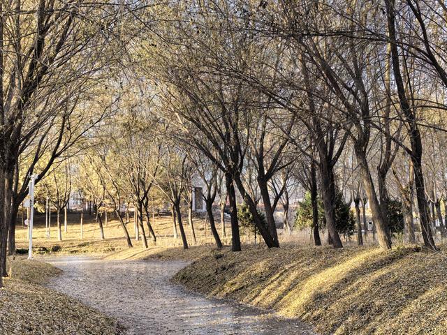 ​组图丨冬日海藏 温柔满溢