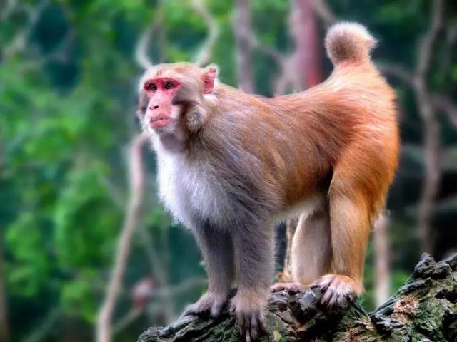 50多项活动嗨翻元旦！南宁文旅体商全攻略，带你玩转元旦假期