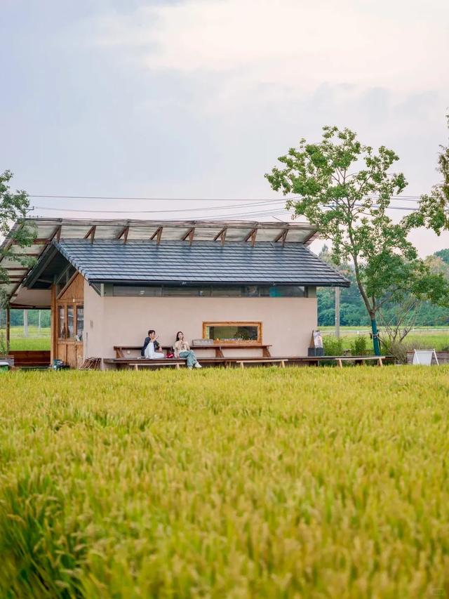 杭州的秋，一半都藏在这些村子里！