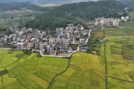 怀集县下帅乡：探索多民族共建共富新路径图片