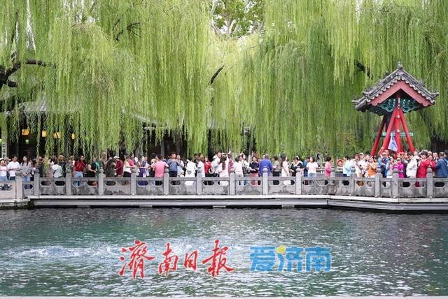秋雨润泉！济南“泉水游”持续在线