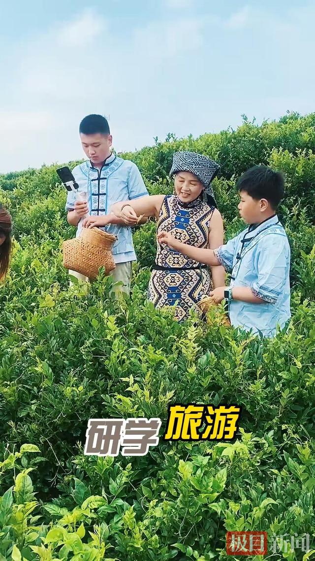 小山村发布五日游线路，湖北来凤县桑树坪村文旅发展迈开新步伐