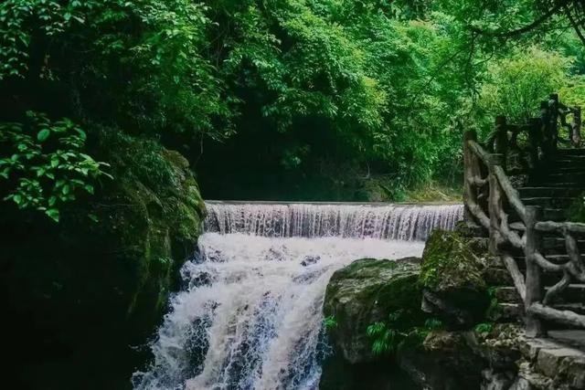 离开浪浪山，到成都的山里来浪一浪！