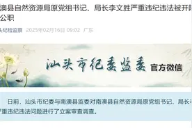 广东省南澳县自然资源局原党组书记、局长李文胜被“双开”图片