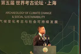 国际考古学家回望三星堆 科技考古 “达到了世界最高的水平之一”｜世界考古论坛图片