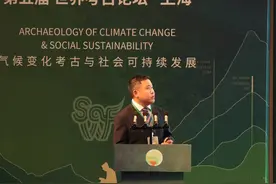 国际考古学家回望三星堆 科技考古 “达到了世界最高的水平之一”｜世界考古论坛图片