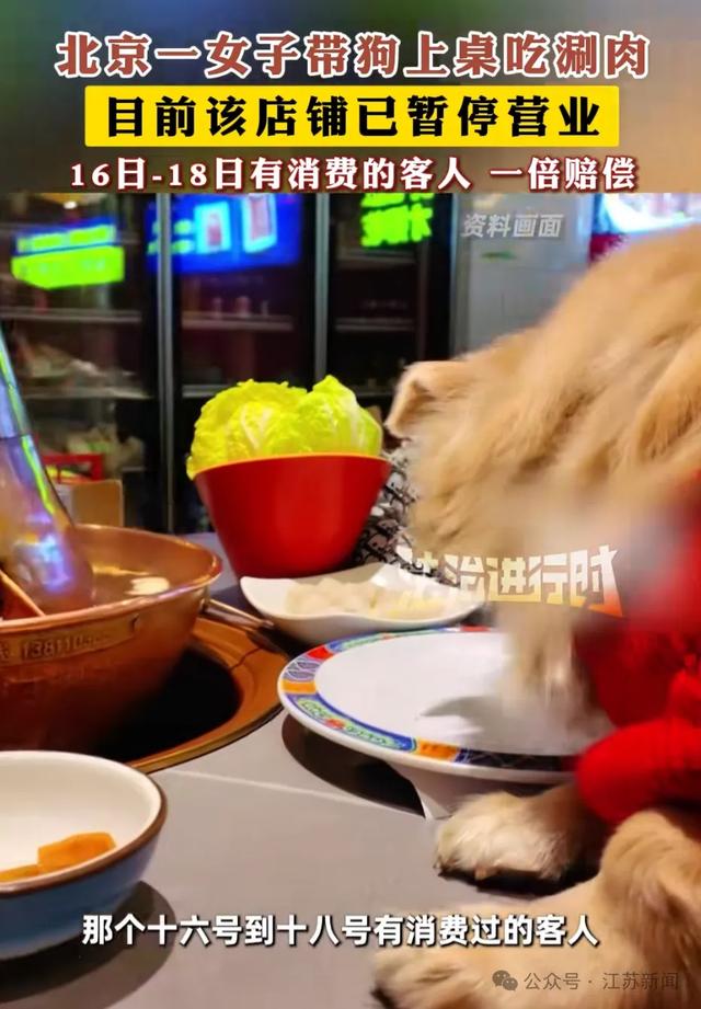 北京一餐厅内女子让宠物狗上桌舔盘吃肉，还发视频夸：连盘底都舔了，太厉害了！涉事饭店回应