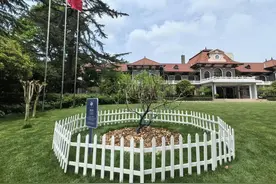 “牛顿苹果树”开花啦！图片