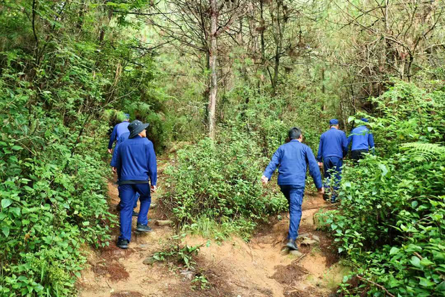 云南大理已劝返违规进苍山采菌及徒步人员820人