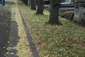 周游散记 | 蒙帕纳斯的有趣灵魂图片