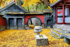 淄博“800岁”网红，火了图片