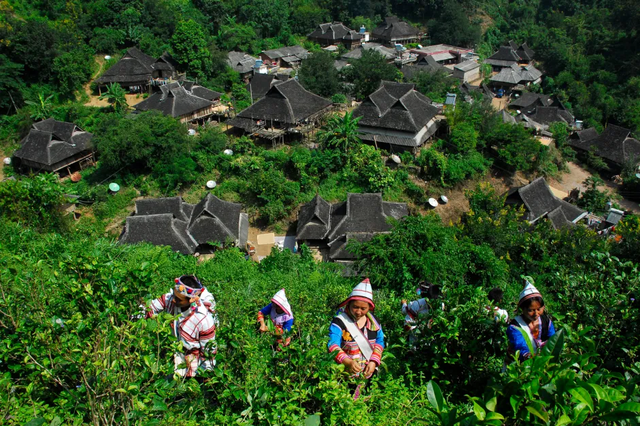 西双版纳：打造“象”往的幸福旅居品牌