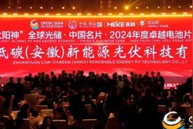 中环低碳受邀参与第七届中国国际光伏与储能产业大会并荣获多项荣誉图片