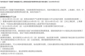 台风“贝碧嘉”强势来袭！多家航空公司航班取消图片