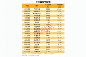 蛇年首周大牛股出炉，均有这个共同点图片