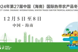 提质升级！第27届中国(海南)国际热带农产品冬季交易会将于12月5日至8日全新亮相图片