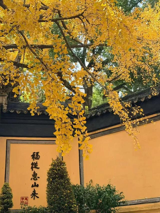 火！火！火！无锡这里被挤爆了！