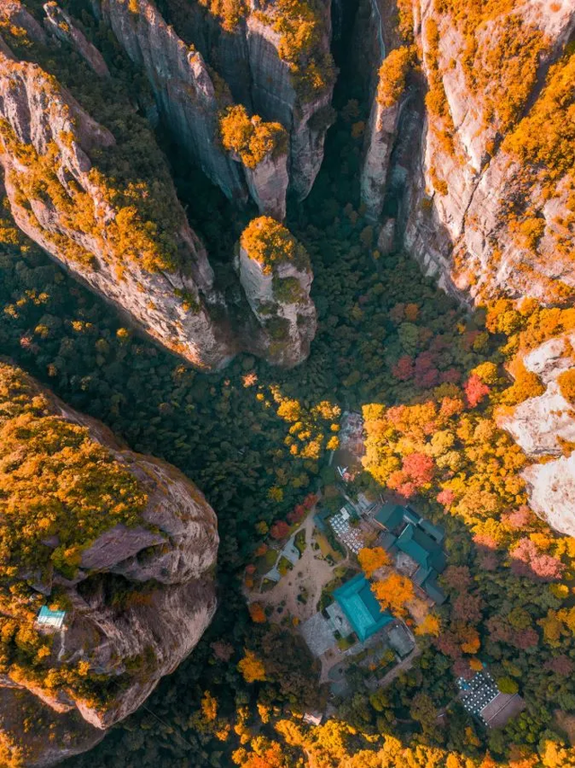 15日畅游长三角“随心乘”！怎么玩？有哪些线路？“薅羊毛”攻略来啦～