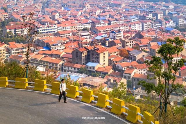 抢先看！武汉最神秘的塔，定期开放！