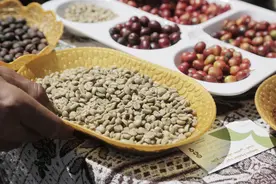 咖啡豆价格为何狂飙？9.9元“打工口粮”还有得喝吗？图片