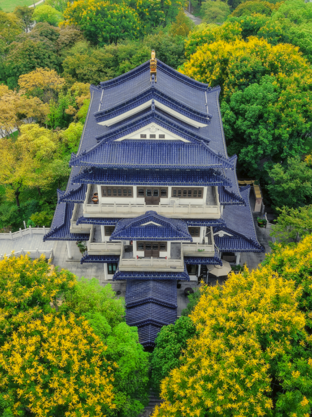 再 致 盐 城