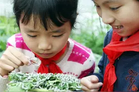 家长“满城找桑叶”：别让学生作业染上形式主义图片