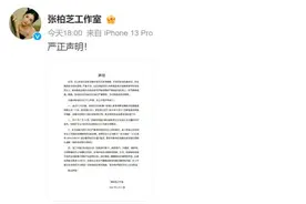 张柏芝工作室严正声明图片