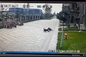 遭烈犬撕咬女童筹款平台改口，称善款全退回！曾称退未用部分图片