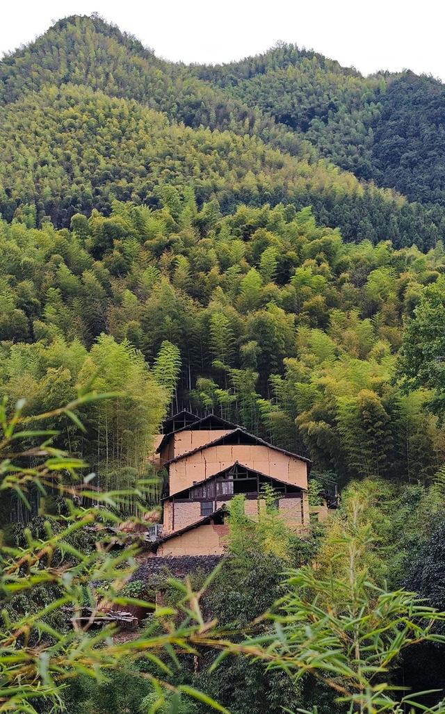 从“守着绿山”到“捧着金山”，浙西南县城用938万生态交易写出新答案