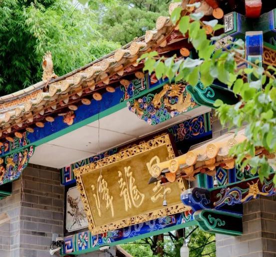 速冲！“森呼吸巴士”解锁大世博生态旅游N种快乐