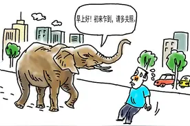 北青快评 | 与“野生居民”做“邻居”，我们应做充足准备图片