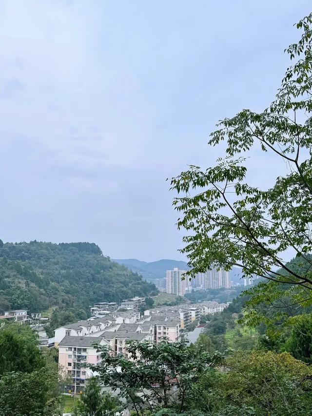 冬｜把时光染成斑斓诗行～