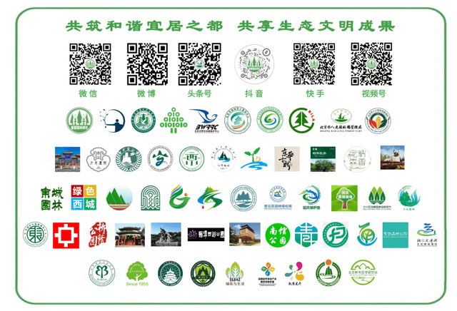 活动招募丨北京公园自然观察季喊你来参加