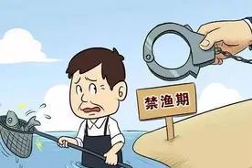 高区法院以案说法｜禁渔期非法捕捞水产品，法律后果是什么？图片
