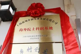 外籍院士带队进村办公，浦东新场的人才服务凭什么吸引人？图片