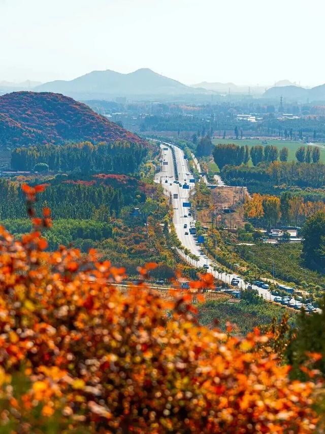 太美了！去北京这里赏“漫山红叶”｜周末京郊微度假